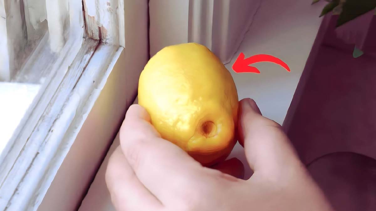 Sie werden es nicht mehr wagen, auf diesen Trick zu verzichten: Es geht darum, vier Zitronen auf die Fensterbank zu legen
