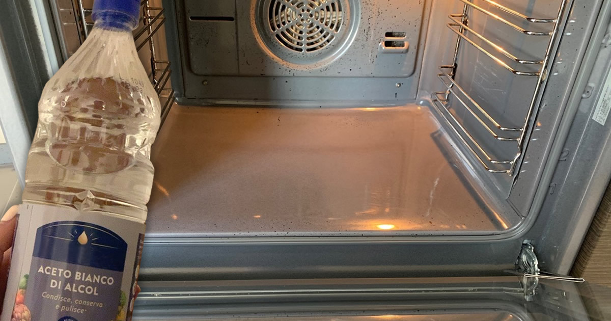 So entfetten und reinigen Sie den gesamten Backofen mit Essig