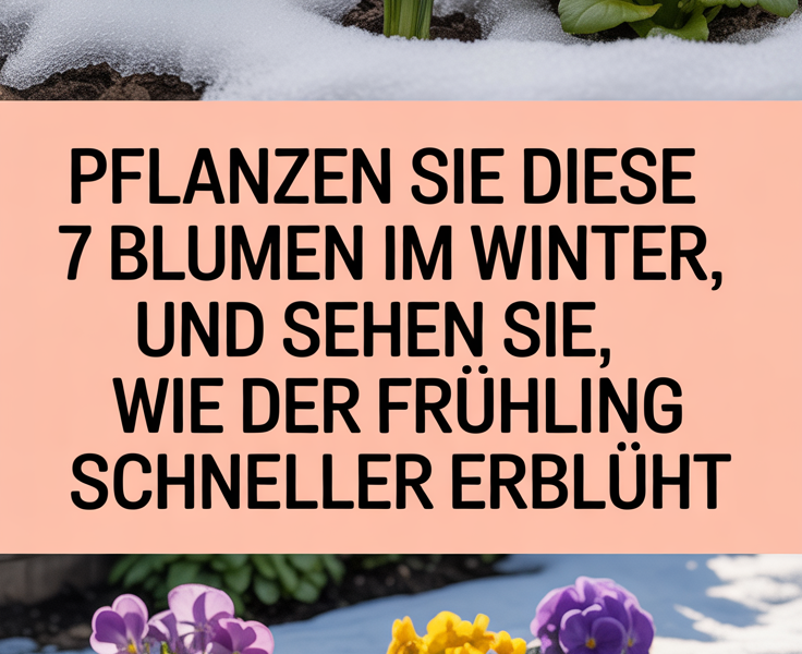 Pflanzen Sie diese 7 Blumen im Winter und sehen Sie, wie der Frühling schneller erblüht