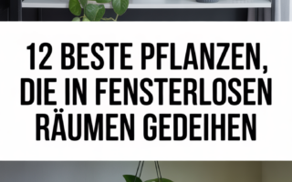 12 Beste Pflanzen, die in fensterlosen Räumen gedeihen