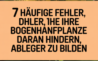 7 Häufige Fehler, die Ihre Bogenhanfpflanze daran hindern, Ableger zu bilden