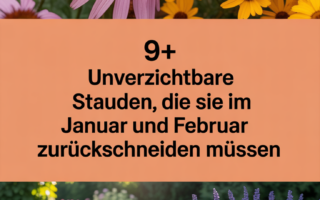 9+ Unverzichtbare Stauden, die Sie im Januar und Februar zurückschneiden müssen