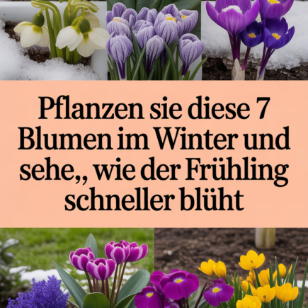 Pflanzen Sie diese 7 Blumen im Winter und sehen Sie, wie der Frühling schneller blüht