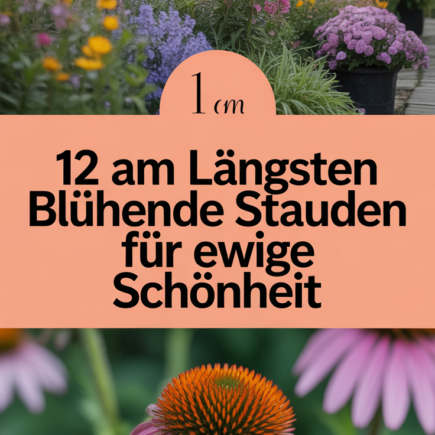 12 am längsten blühende Stauden für ewige Schönheit