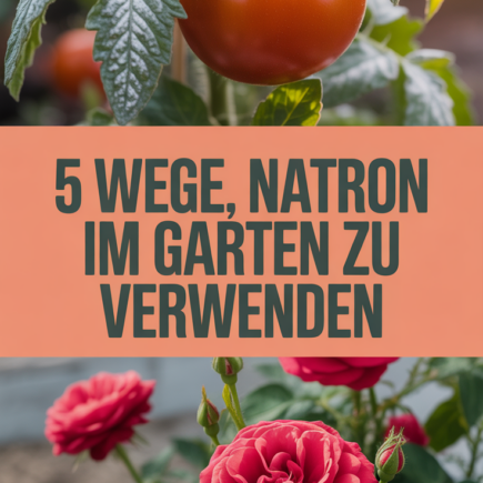 5 Wege, Natron im Garten zu verwenden