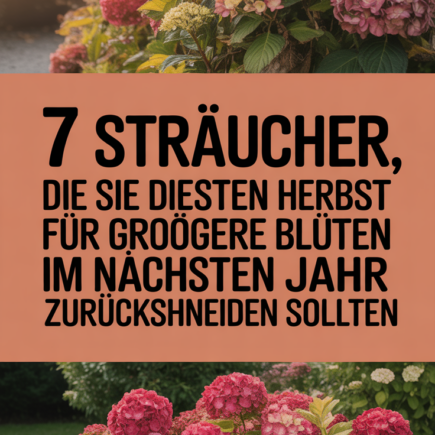 7 Sträucher, die Sie diesen Herbst für größere Blüten im nächsten Jahr zurückschneiden sollten