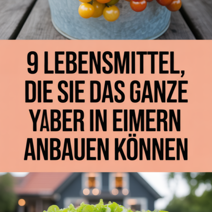 9 Lebensmittel, die Sie das ganze Jahr über in Eimern anbauen können
