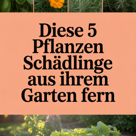 Diese 5 Pflanzen halten Schädlinge aus Ihrem Garten fern