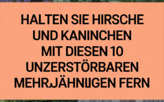 Halten Sie Hirsche und Kaninchen mit diesen 10 unzerstörbaren mehrjährigen Pflanzen fern