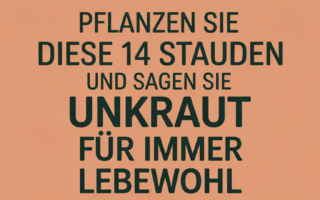 Pflanzen Sie diese 14 Stauden und sagen Sie Unkraut für immer Lebewohl