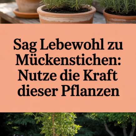 Sag Lebewohl zu Mückenstichen: Nutze die Kraft dieser Pflanzen