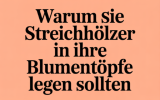 Warum Sie Streichhölzer in Ihre Blumentöpfe legen sollten