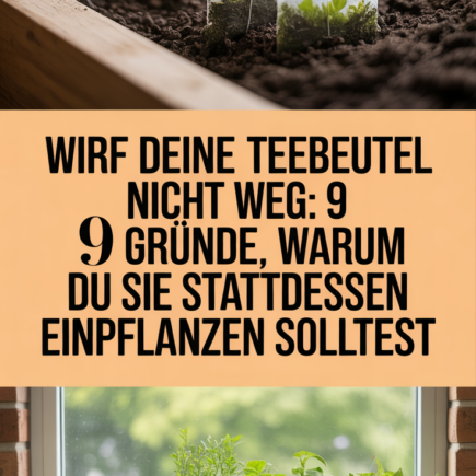 Wirf deine Teebeutel nicht weg: 9 Gründe, warum du sie stattdessen einpflanzen solltest