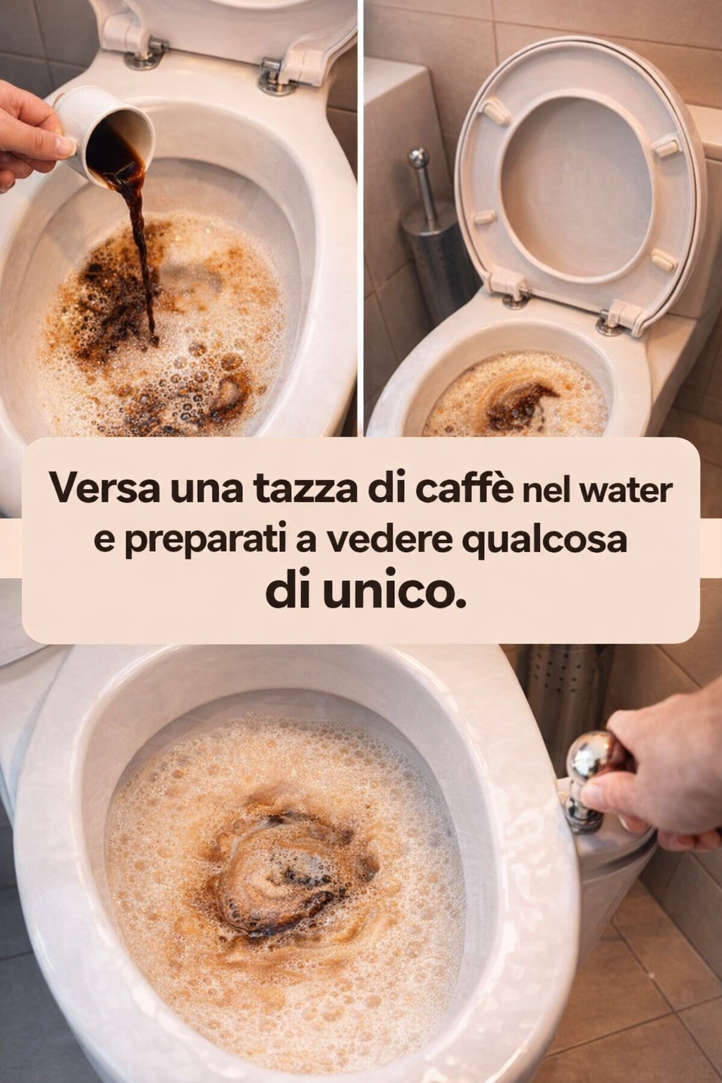 Versa una tazza di caffè nel water e preparati a vedere qualcosa di unico.