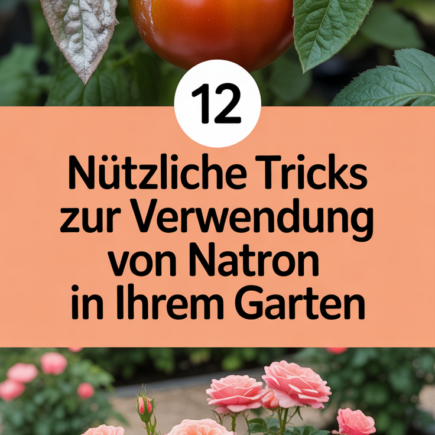 12 nützliche Tricks zur Verwendung von Natron in Ihrem Garten