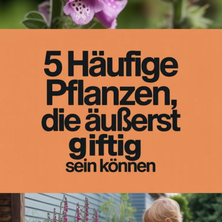 5 häufige Pflanzen, die äußerst giftig sein können