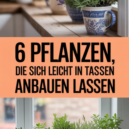 6 Pflanzen, die sich leicht in Tassen anbauen lassen