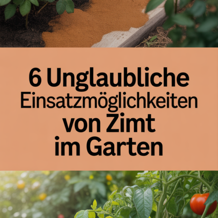 6 Unglaubliche Einsatzmöglichkeiten von Zimt im Garten