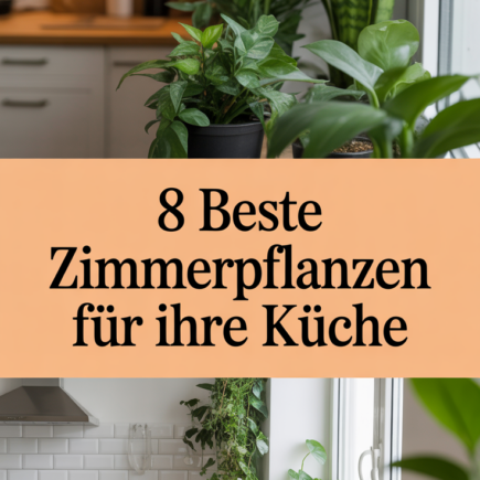 8 Beste Zimmerpflanzen für Ihre Küche