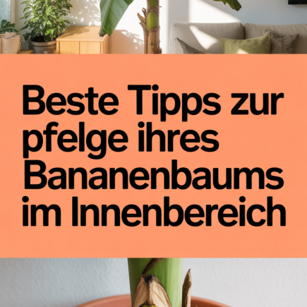 Beste Tipps zur Pflege Ihres Bananenbaums im Innenbereich